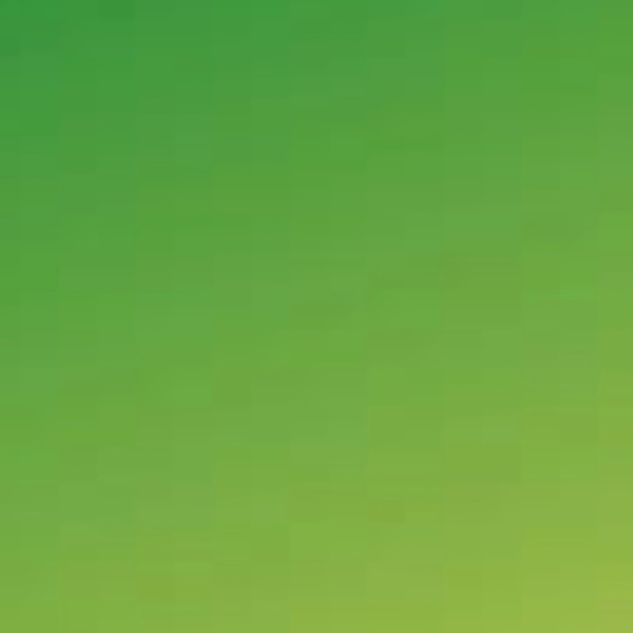 NFS - Picture 1 of 1